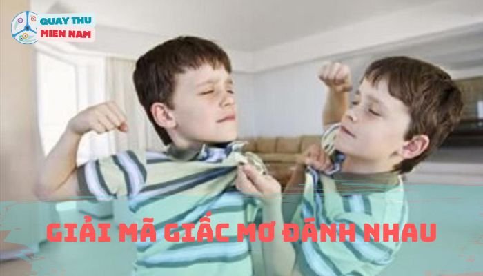Giải Mã Giấc Mơ Đánh Nhau