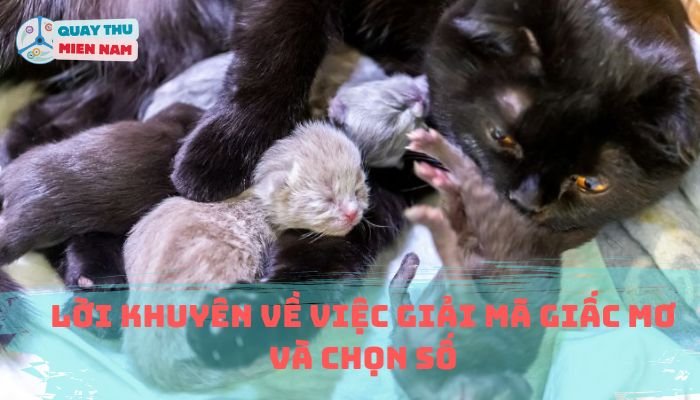Lời Khuyên Về Việc Giải Mã Giấc Mơ Và Chọn Số