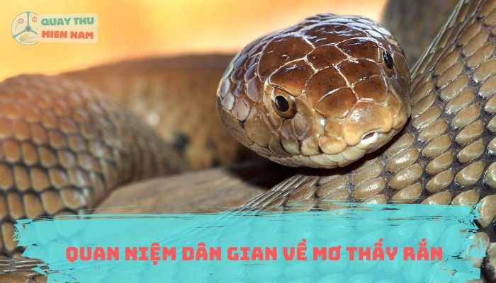 Quan Niệm Dân Gian Về Mơ Thấy Rắn